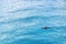 Person kayaking on blue sea