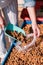 Person lays nuts in a transparent bag. food market. Natural products