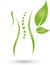 Person and leaves, plant, wellness and female doctor logo