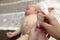 Person massaging the newborn baby foot