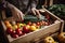 person, packaging up organic vegetables grown without the use of gmos