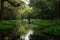 person, paddling through tranquil pond, surrounded by lush greenery