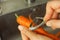 Person peeling a carrot with a peeler