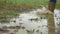 Person with pink boots and blue umbrella splashing in the puddle. girl in raincoat and rubber boots jumping into puddle