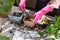 A person in pink gloves is planting a terrestrial plant in a pot in the garden