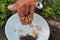 person placing seeds on a plate to be planted