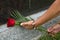 Person Placing a Single Rose on a Tombstone