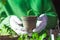 person planting a baby plant in sterile conditions seeded in pot