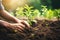 Person Planting Seedling in Soil