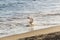 Person playing in the water at Ondina beach during the coronavirus pandemic