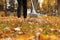 Person raking dry leaves outdoors on autumn day