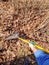 Person raking fallen leaves in the garden.Restoring order on the street. Fallen leaves are collected in a pile. Gardener