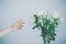 Person reaching for the beautifully arranged bouquet of flowers  against a white wall