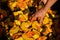 A person reaching for a piece of pumpkin at an elephant sanctuary