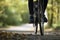 Person riding a bicycle along a fall road