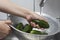 Person rinsing the cucumbers under the running water