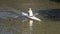 A person rowing boat on Arno River, Florence, Italy