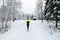 A person running in a snow covered forest.
