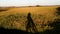 Person\'s reflection on the growing wheat farmland