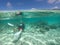 Person scuba dive in Rarotonga Cook Islands