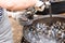 Person Serving Prepared Mussels from Large Pot