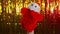 Person showing Santa Claus toy against golden Christmas tinsel. Crop unrecognizable person with plush hand Santa Claus