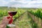 person sipping wine on a vineyard tour in france