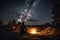 person, sitting by the fire, gazing at the starry night sky