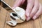 Person slicing a fresh agaricus mushroom