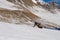 Person snowboarding down the San Pellegrino ski resort in the Dolomites