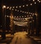 Person standing at the end of park road under strings of lights hanging on big trees at night