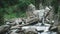 A person standing in front of a waterfall in a dense forest in Shrunz, Gulmarg, Kashmir