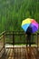 Person Standing in Rain with Rainbow Umbrella on Platform Looking at River Waterfall Pine Forest