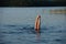 A person standing upside down in a lake. Legs visible over water