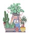 Person surrounded by potted plants holds a plant in hands.