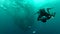 Person swimming among shoal of jack fish in tulemben in Bali, Indonesia