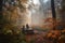 person, taking in the fresh air and tranquility of a misty autumn morning in the woods