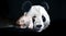Person touching fractal endangered panda illustration 3D rendering