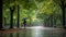 A person with umbrella walking in a park in rainy day