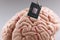 Person use tweezers to put tiny computer chip in plastic human brain model