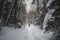 person, wading through snowshoeing trail, with snowy trees in the background