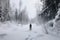 person, wading through snowshoeing trail, with snowy trees in the background