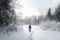 person, wading through snowshoeing trail, with snowy trees in the background