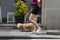 Person walking cheerful and happy pet dog in the street with leash during summer