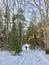 Person walking on marked snow mobile trail