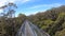 Person walking on valley of the giants tree top walk 02