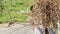 Person walks holding large wood pile over head slow