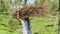 Person walks holding large wood pile over head slow