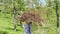 Person walks holding large wood pile over head slow