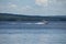 Person water skiing behind big boat on Round Lake, Ontario, Canada